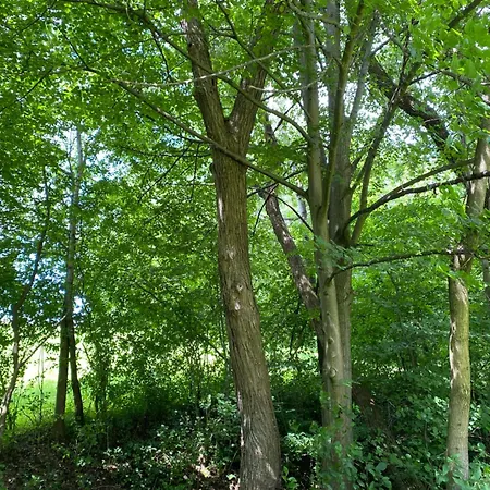 Plachtowka * Slupia (Limanowa)