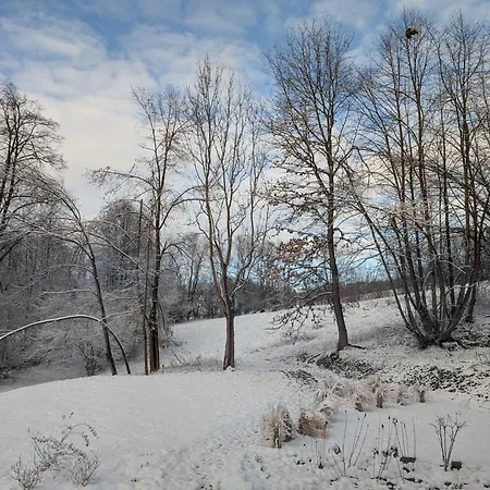 וילה Plachtowka Slupia (Limanowa)