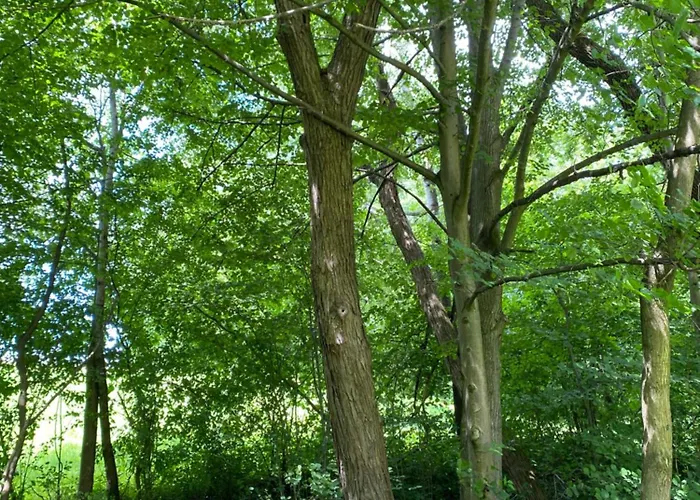 Plachtowka * Slupia (Limanowa)