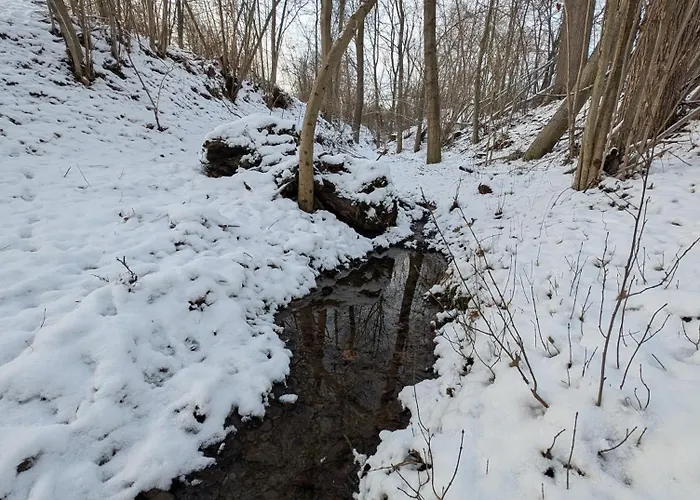 Villa Plachtowka Slupia (Limanowa)
