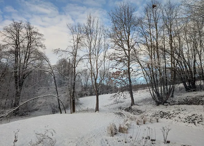 Villa Plachtowka Slupia (Limanowa)